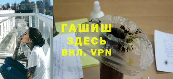 хмурый Ельня
