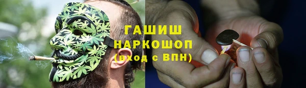 стаф Баксан