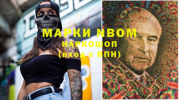 хмурый Ельня
