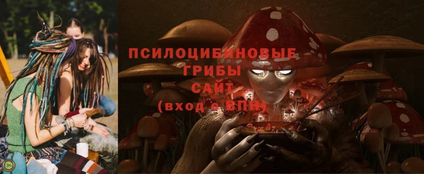 ГАЛЛЮЦИНОГЕННЫЕ ГРИБЫ Коряжма