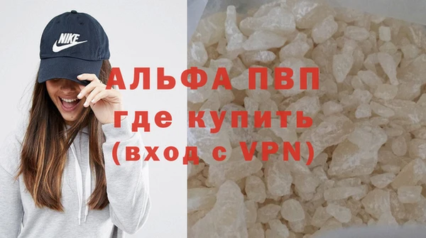 стаф Баксан