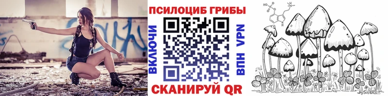 hydra рабочий сайт  Ульяновск  Галлюциногенные грибы Psilocybe 