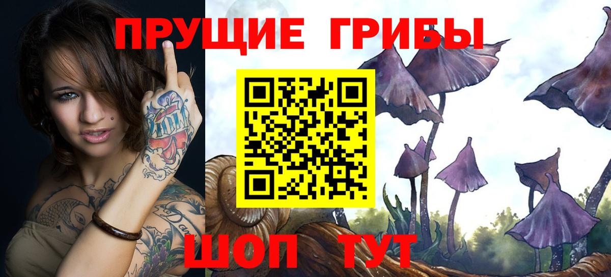 Ульяновск  Псилоцибиновые грибы прущие грибы  Вход с VPN 