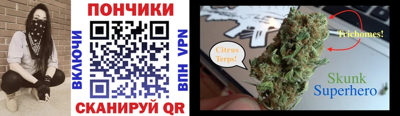 Каннабис сатива  где купить наркоту  kraken tor  Ульяновск 